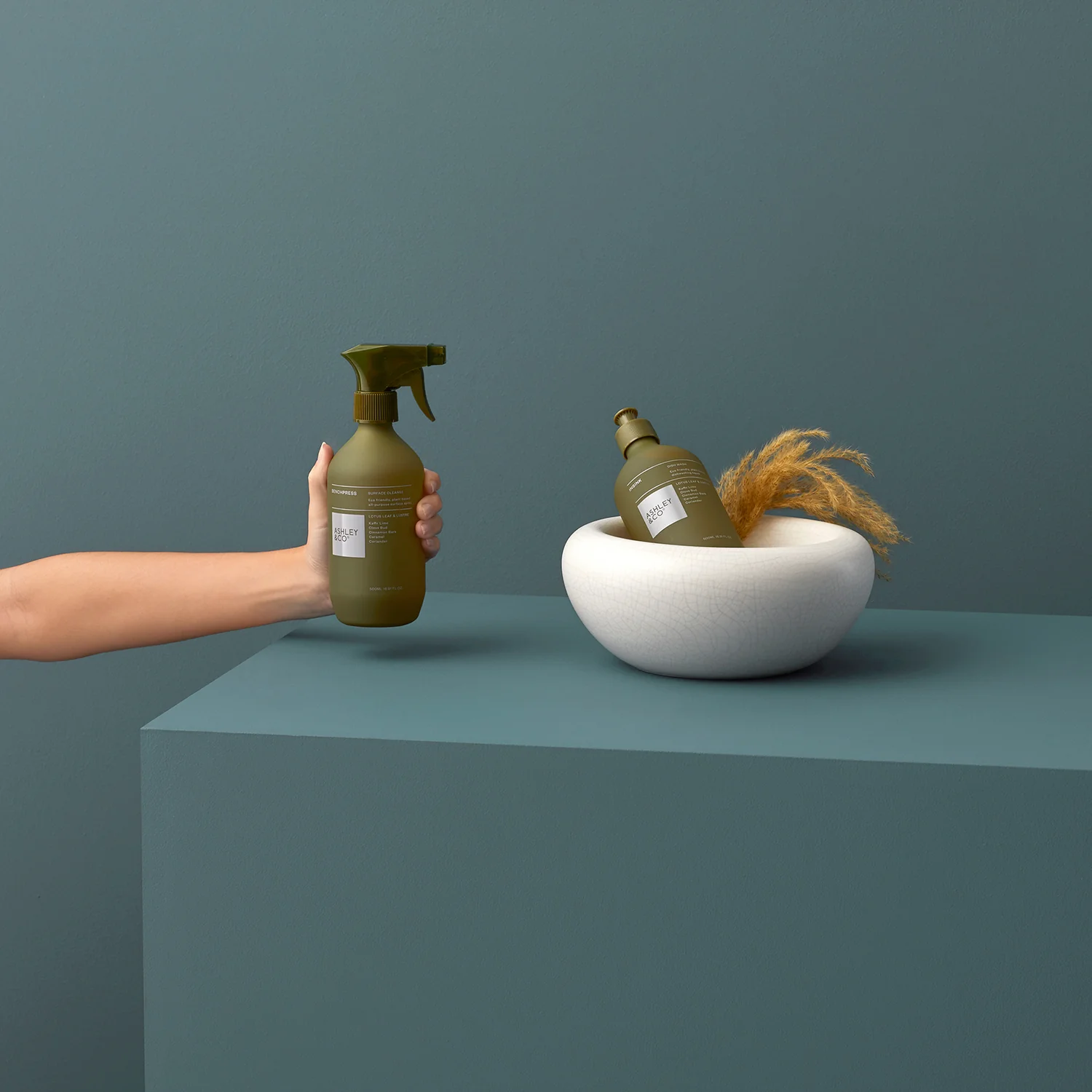 Bench Press Spray - Image 5