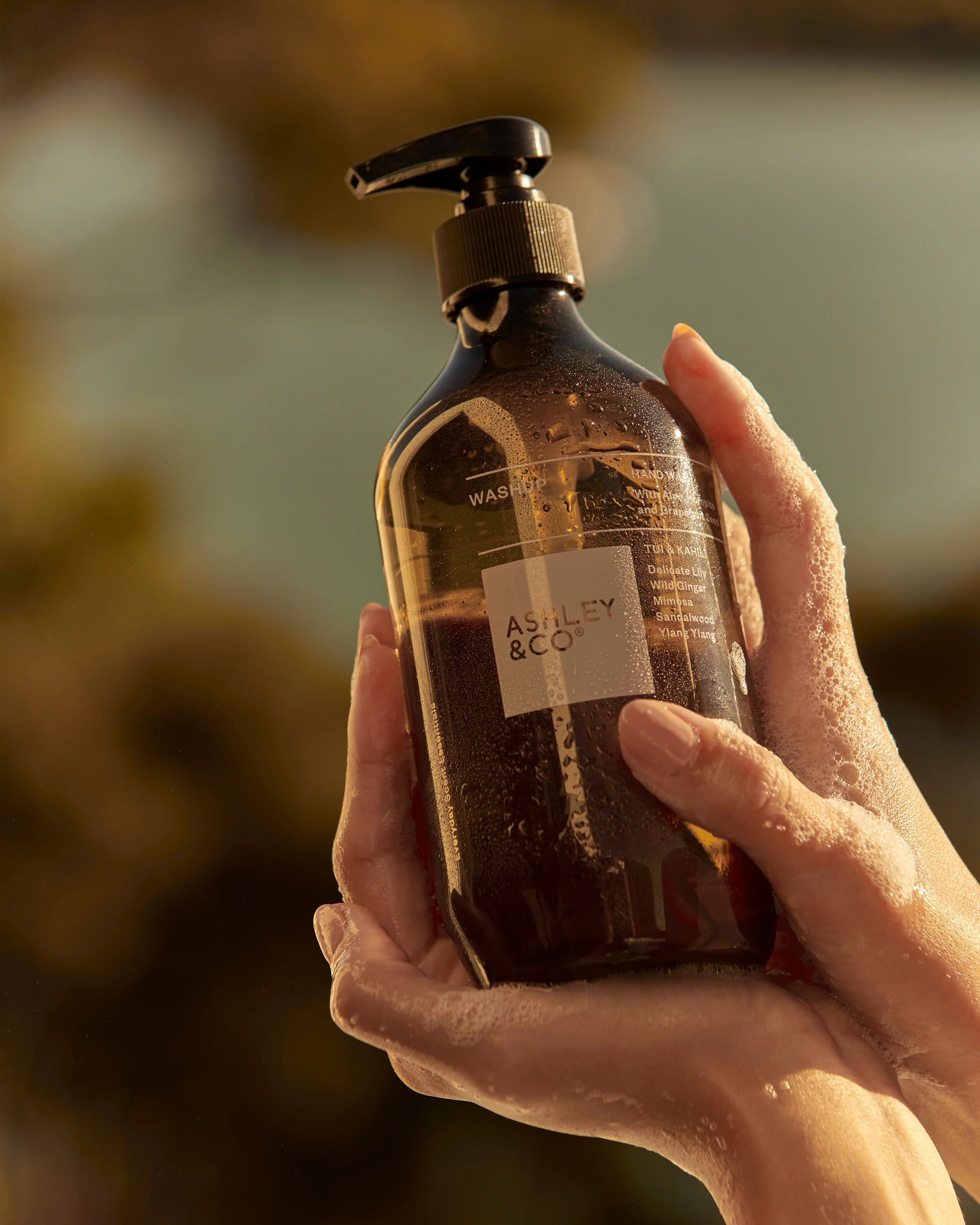 Washup - Image 5