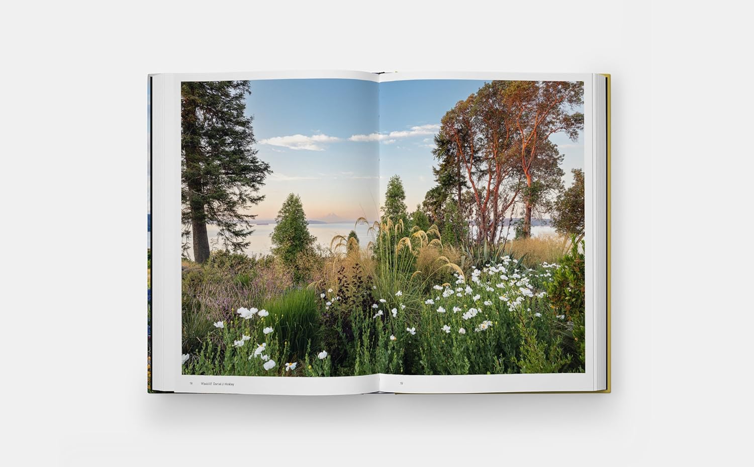 Coastal Garden - Image 5