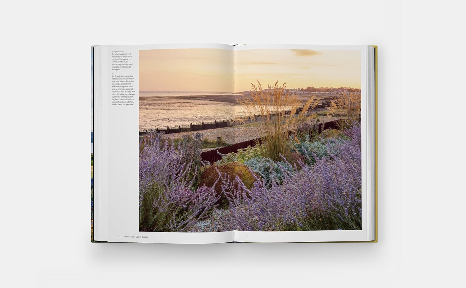 Coastal Garden - Image 6