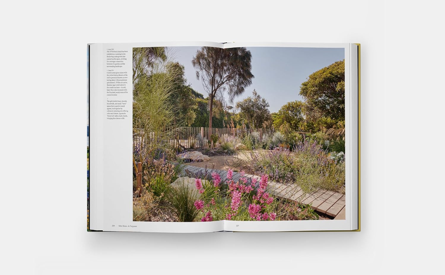 Coastal Garden - Image 7