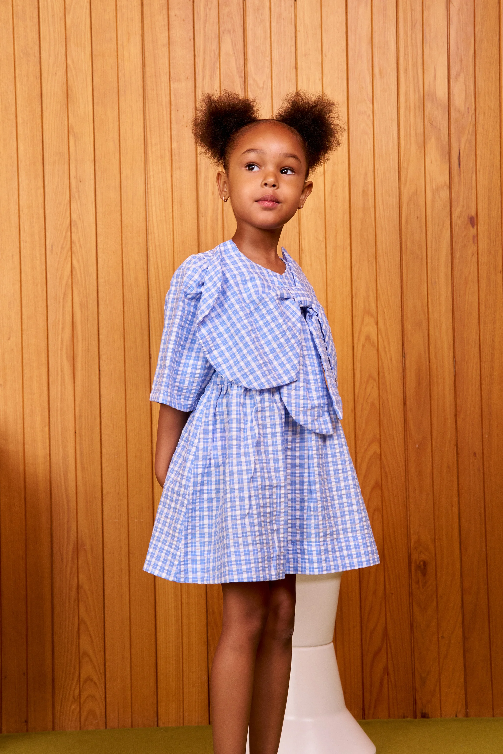 Customisable Poppy Dress - Blue Check - Image 3