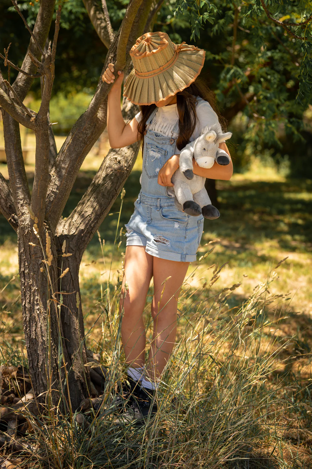 Diego the Donkey - Image 3