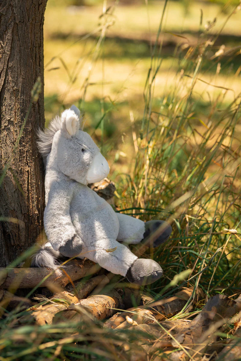 Diego the Donkey - Image 4
