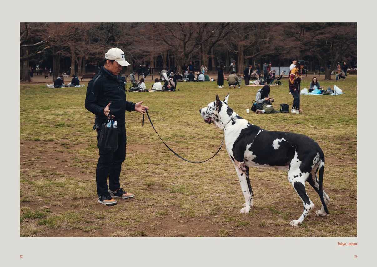 Dog's Best Friend - Image 3