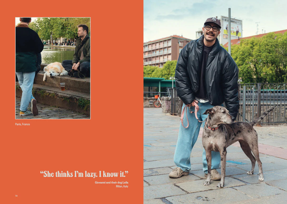 Dog's Best Friend - Image 6