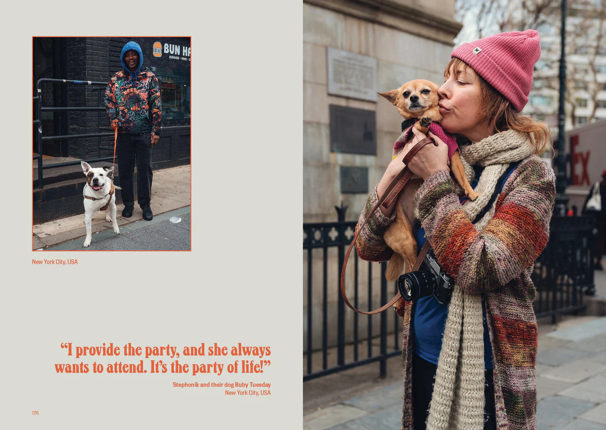 Dog's Best Friend - Image 8