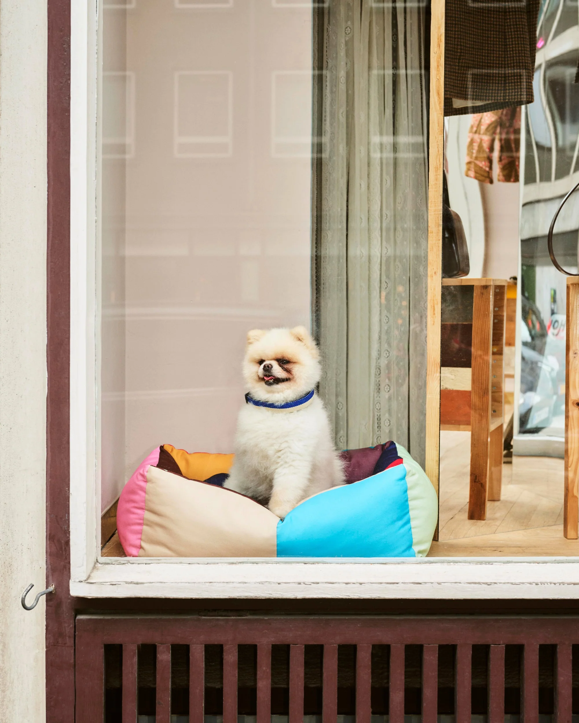 Patchwork Dog Bed - Multi - Image 2