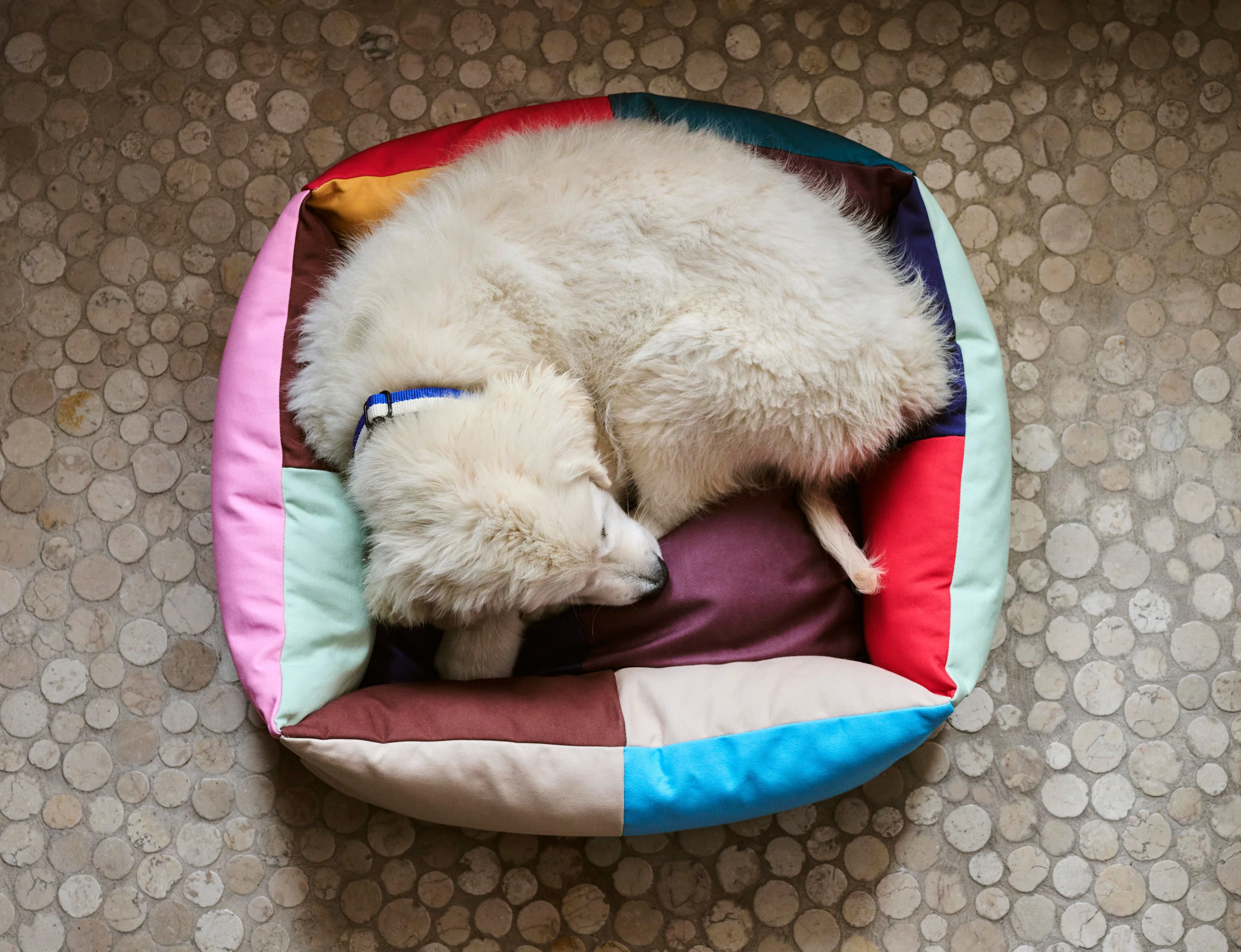 Patchwork Dog Bed - Multi - Image 3