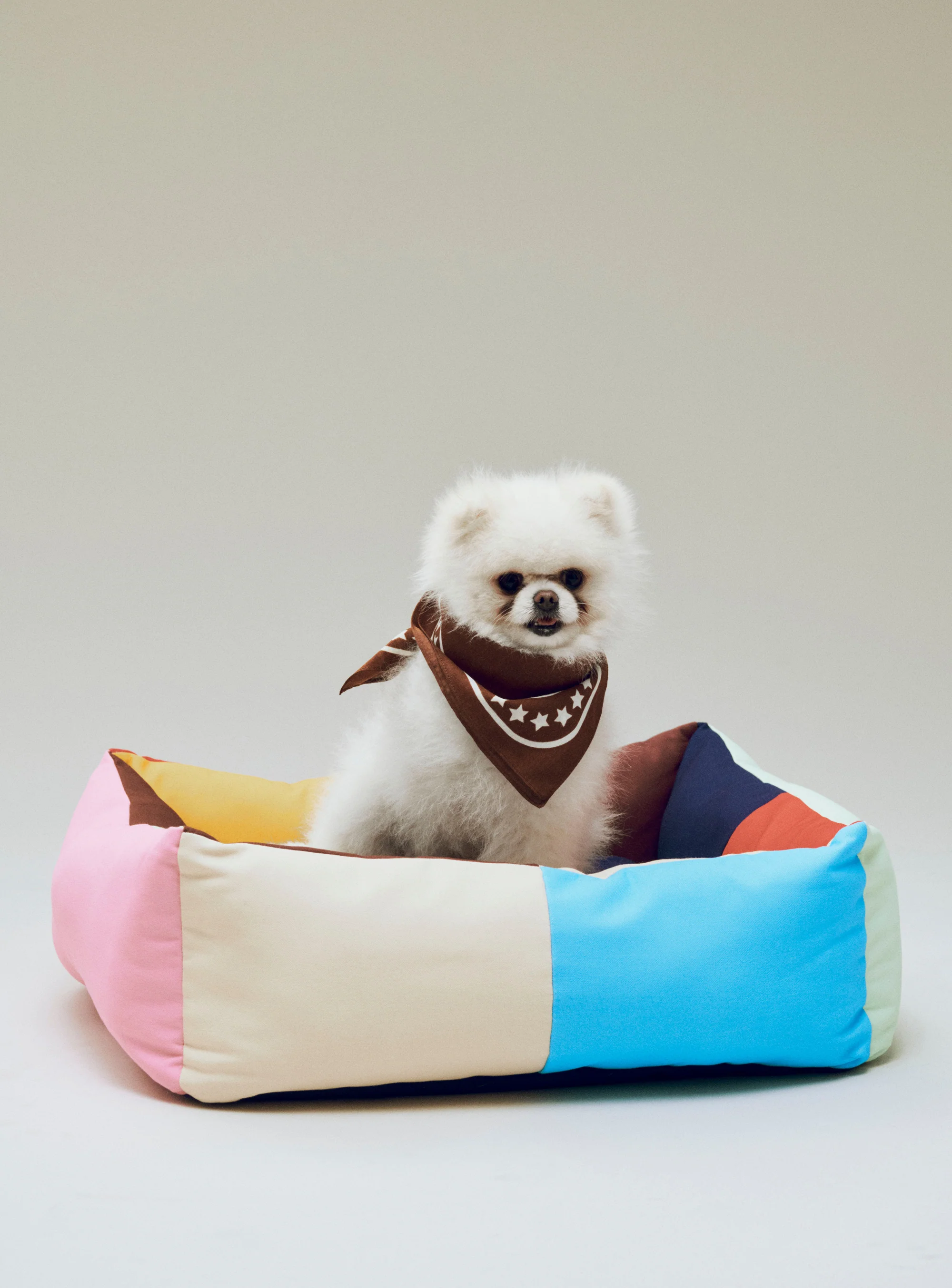 Patchwork Dog Bed - Multi - Image 5