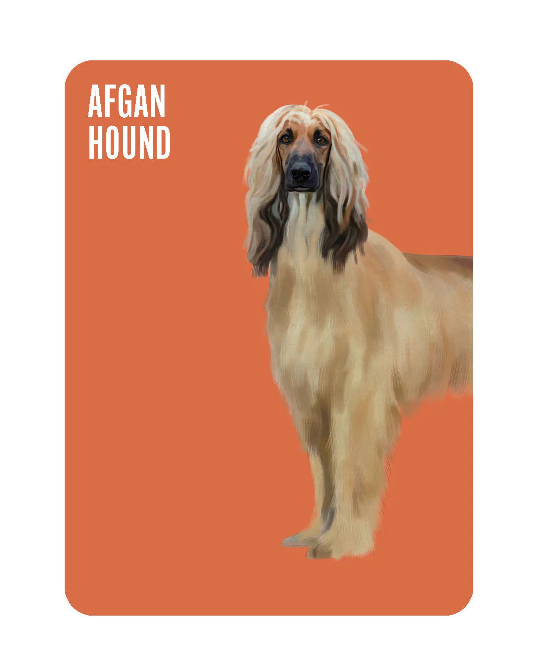 Heads & Tails - Dog Memory Cards - Image 2