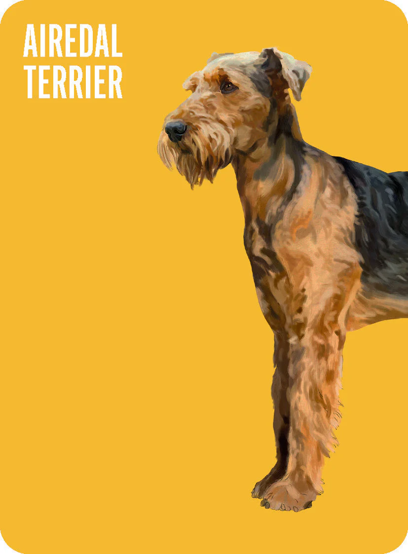 Heads & Tails - Dog Memory Cards - Image 4