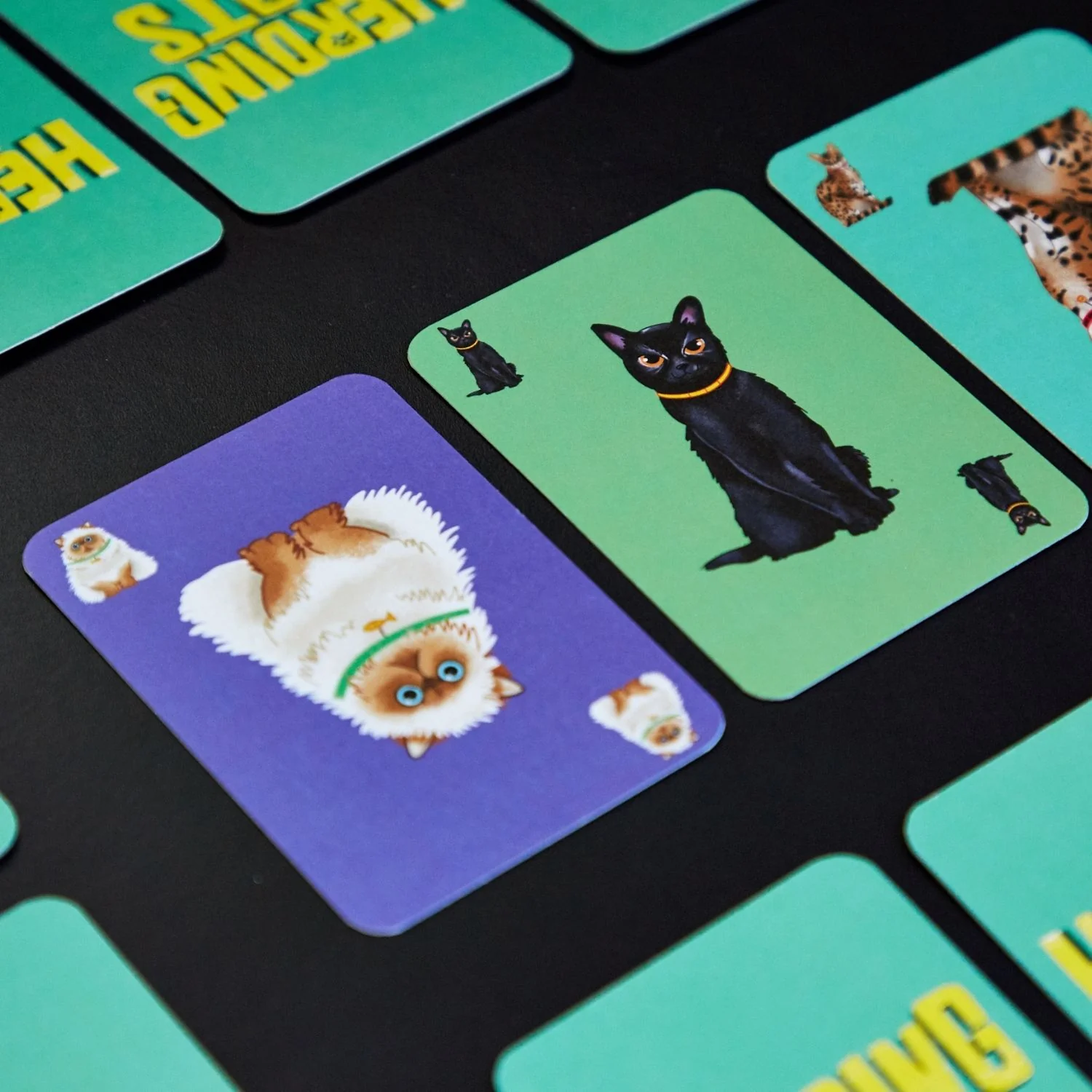 Herding Cats - Image 3