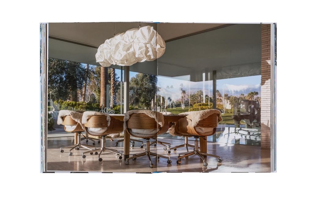 Inside Palm Springs - Image 4