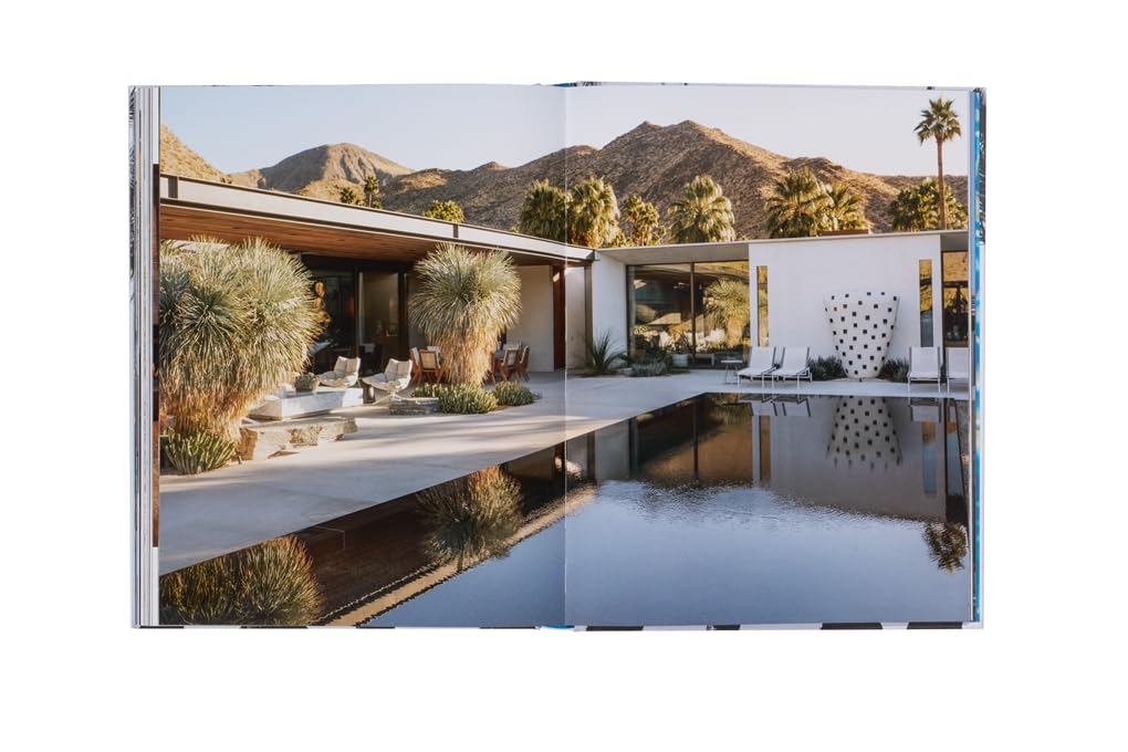 Inside Palm Springs - Image 7