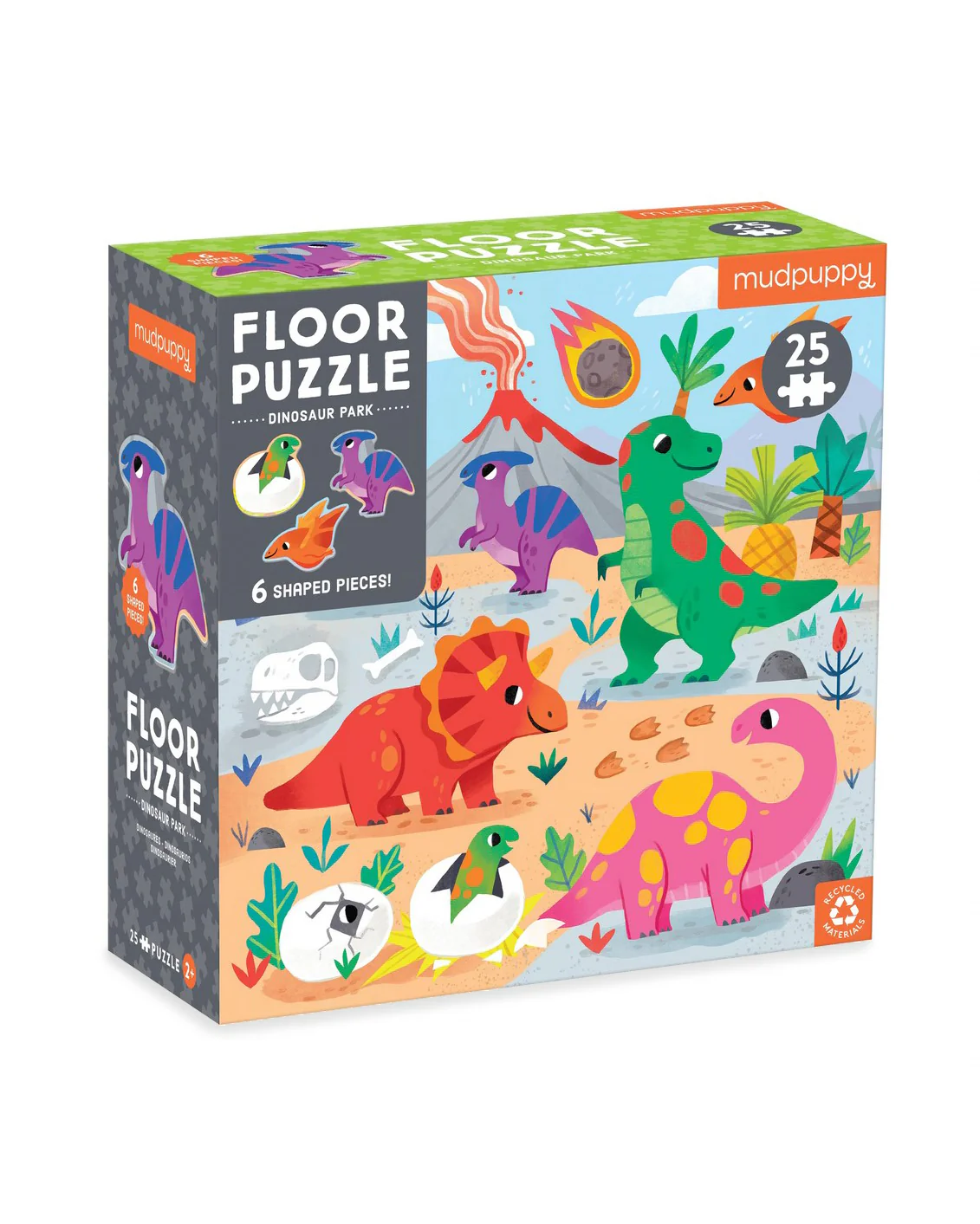 Large Dinosaur Park Puzzle
