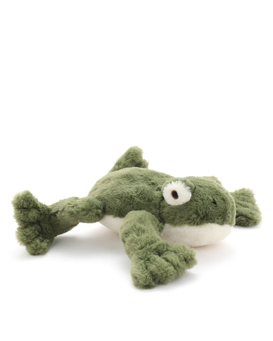 Finley the Frog