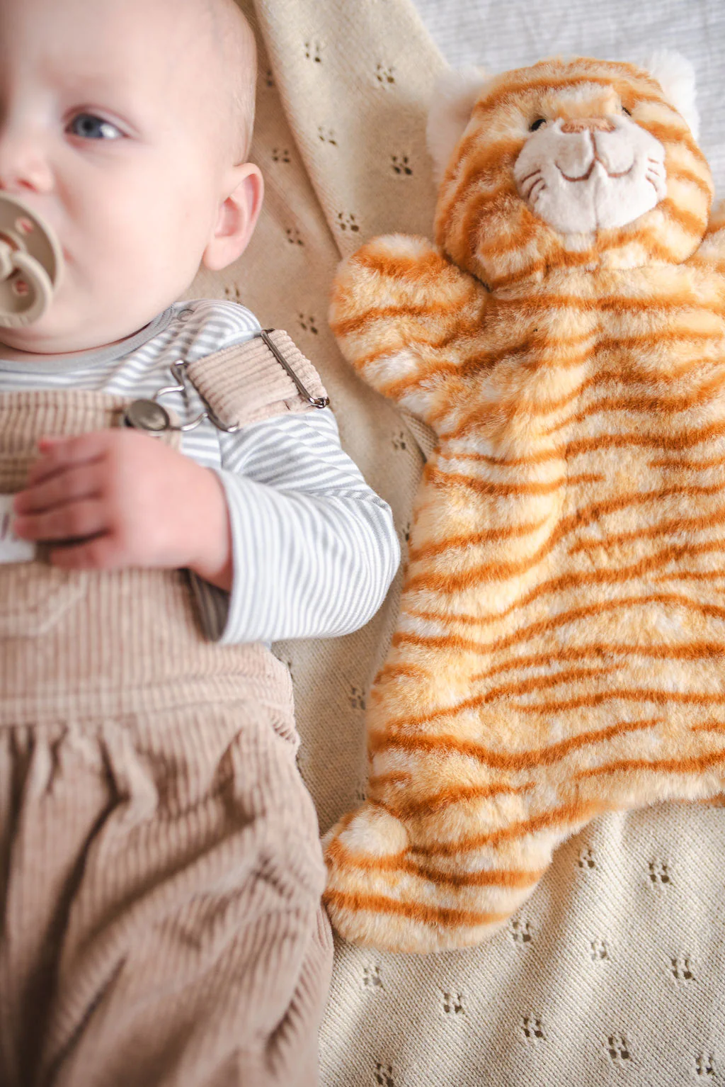 Ginger the Cat Cuddly - Image 3