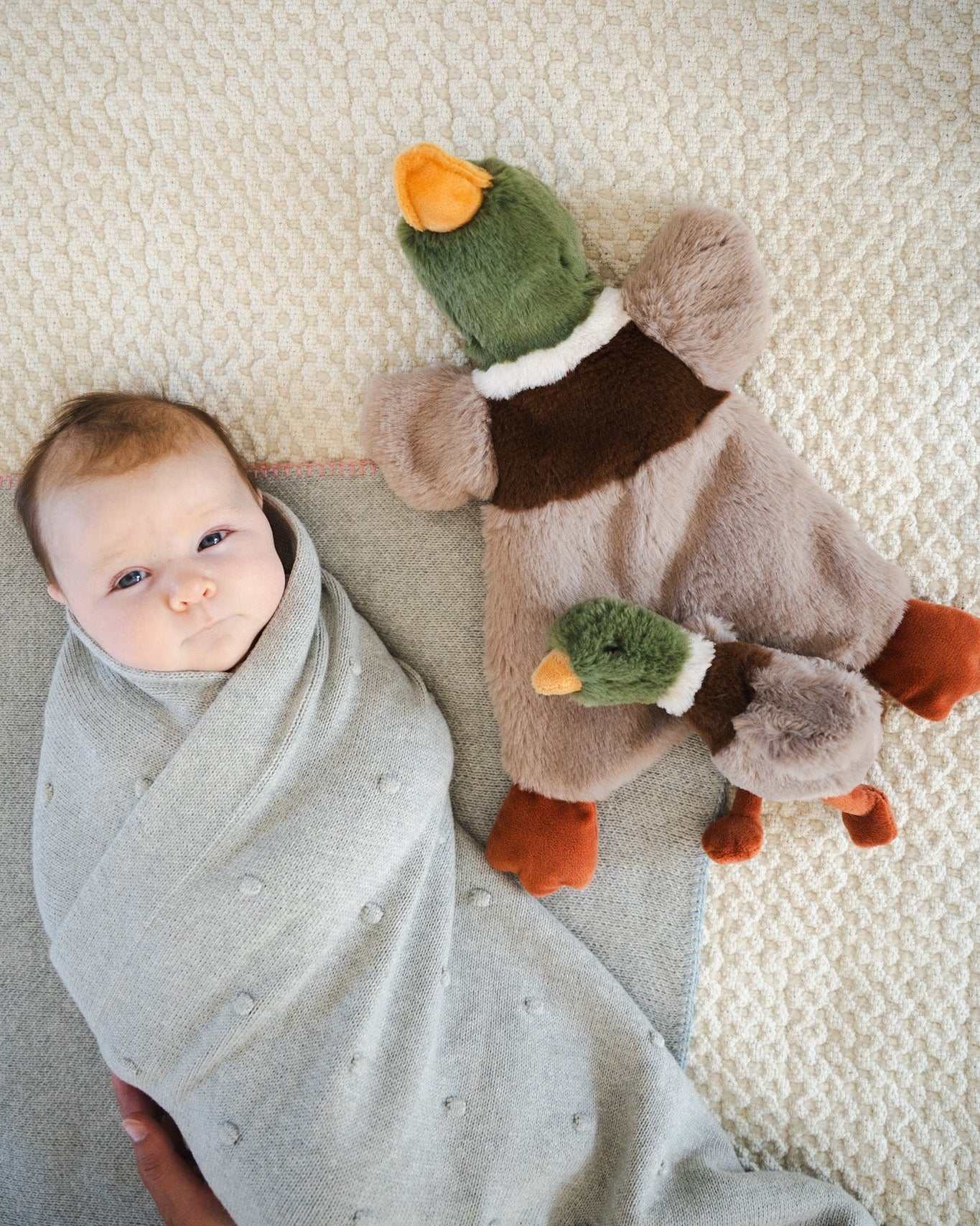Hugo the Mallard Duck Cuddly - Image 2