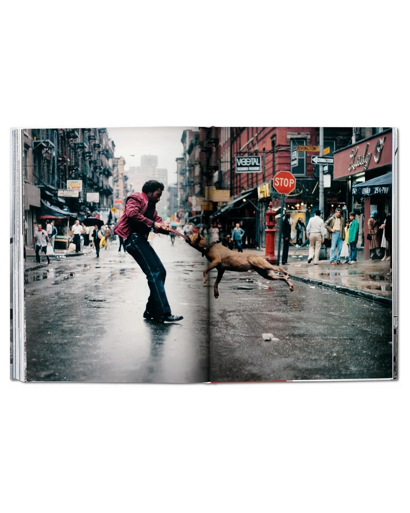 New York. Portrait of a City - Image 2