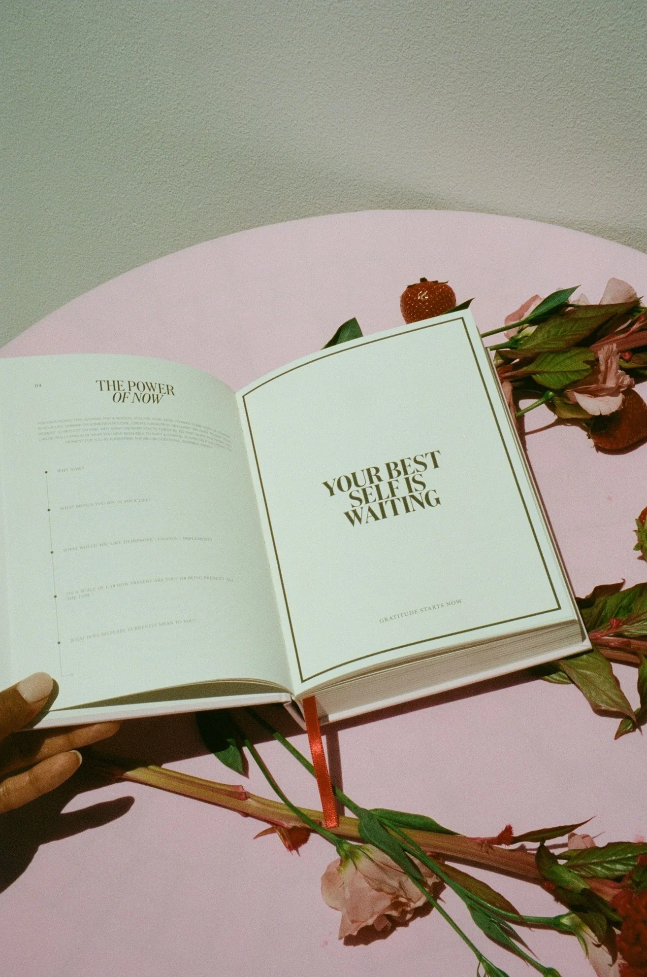 Gratitude Journal - Pink - Image 4