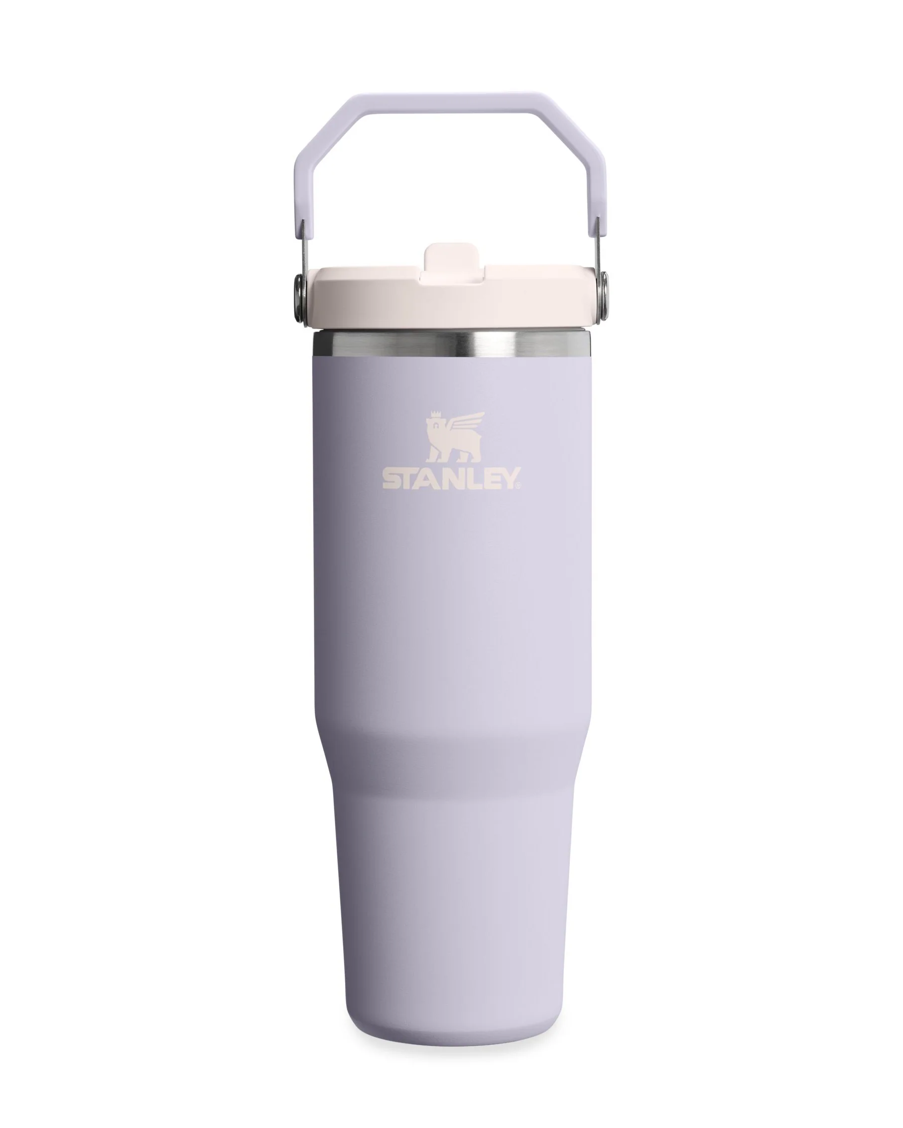Flip Straw Tumbler - Purple Dust