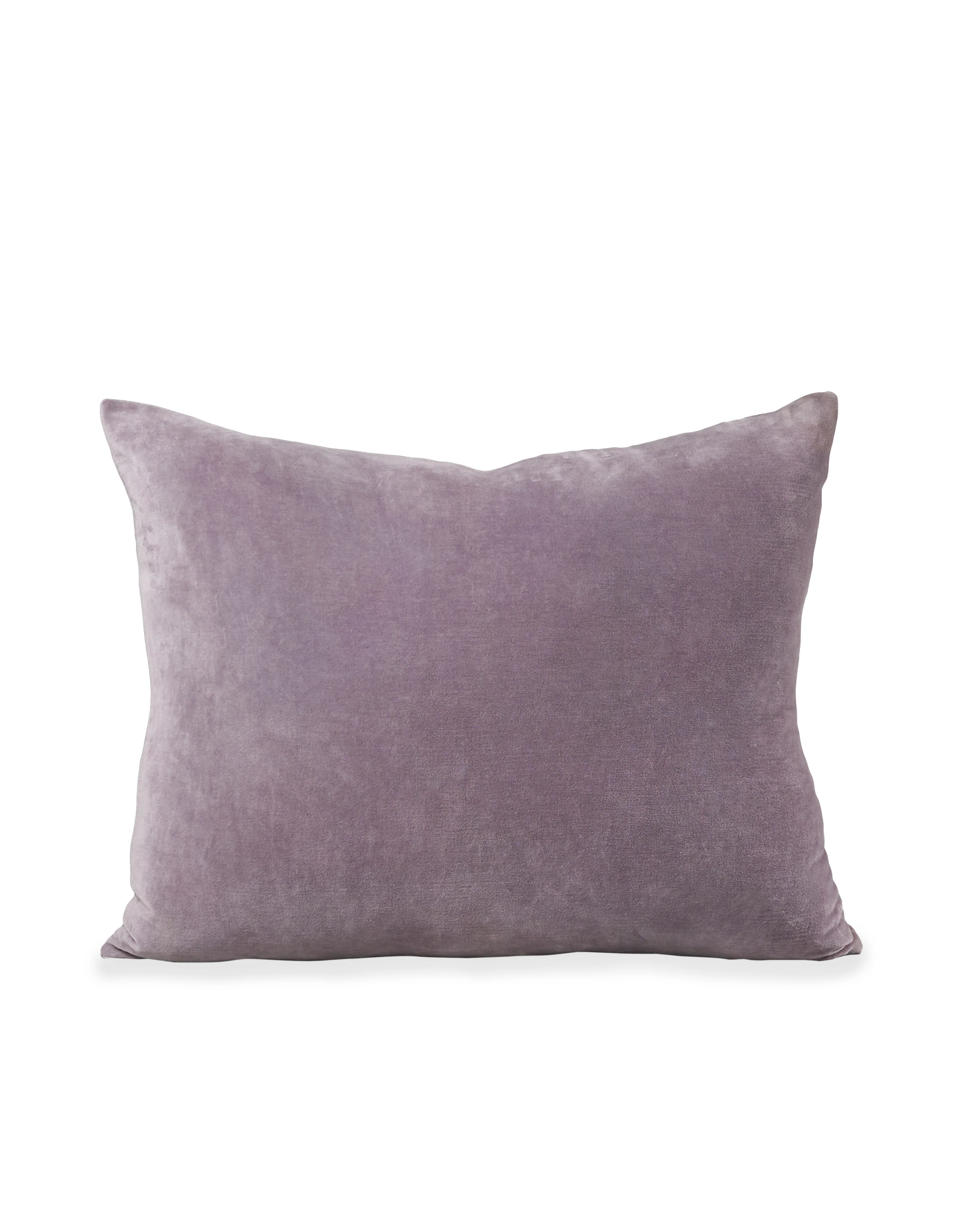 Velvet Cushion Cover - Pansy